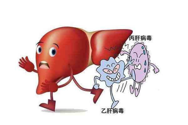 河南省医药院附属医院肝病主任解读:得了丙肝还会得乙肝吗